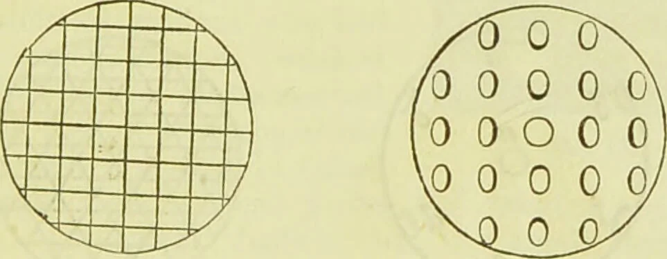 An illustration from The microscope : its history, construction, and application, being a familiar introduction to the use of the instrument, and the study of microscopical science / by Jabez Hogg ; with upwards of five hundred engravings, and coloured illustrations by Tuffen West., 1890, leaf 51