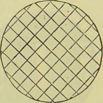 An illustration from The microscope : its history, construction, and application, being a familiar introduction to the use of the instrument, and the study of microscopical science / by Jabez Hogg ; with upwards of five hundred engravings, and coloured illustrations by Tuffen West., 1890, leaf 52