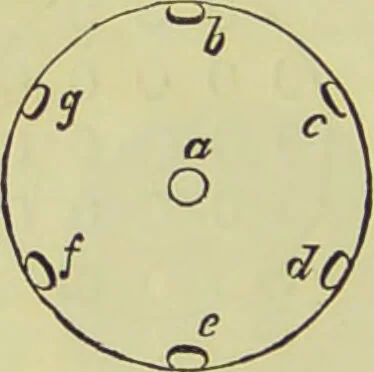 An illustration from The microscope : its history, construction, and application, being a familiar introduction to the use of the instrument, and the study of microscopical science / by Jabez Hogg ; with upwards of five hundred engravings, and coloured illustrations by Tuffen West., 1890, leaf 52