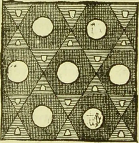 An illustration from The microscope : its history, construction, and application, being a familiar introduction to the use of the instrument, and the study of microscopical science / by Jabez Hogg ; with upwards of five hundred engravings, and coloured illustrations by Tuffen West., 1890, leaf 53