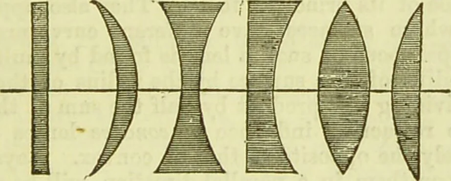 An illustration from The microscope : its history, construction, and application, being a familiar introduction to the use of the instrument, and the study of microscopical science / by Jabez Hogg ; with upwards of five hundred engravings, and coloured illustrations by Tuffen West., 1890, leaf 55