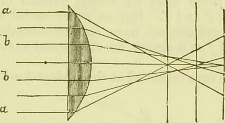 An illustration from The microscope : its history, construction, and application, being a familiar introduction to the use of the instrument, and the study of microscopical science / by Jabez Hogg ; with upwards of five hundred engravings, and coloured illustrations by Tuffen West., 1890, leaf 57