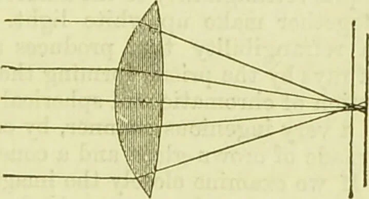 An illustration from The microscope : its history, construction, and application, being a familiar introduction to the use of the instrument, and the study of microscopical science / by Jabez Hogg ; with upwards of five hundred engravings, and coloured illustrations by Tuffen West., 1890, leaf 59