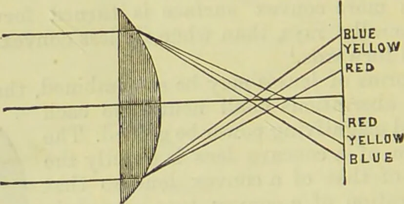 An illustration from The microscope : its history, construction, and application, being a familiar introduction to the use of the instrument, and the study of microscopical science / by Jabez Hogg ; with upwards of five hundred engravings, and coloured illustrations by Tuffen West., 1890, leaf 60