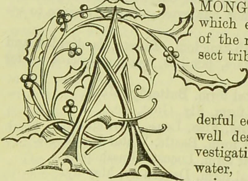 An illustration from The microscope : its history, construction, and application, being a familiar introduction to the use of the instrument, and the study of microscopical science / by Jabez Hogg ; with upwards of five hundred engravings, and coloured illustrations by Tuffen West., 1890, leaf 619
