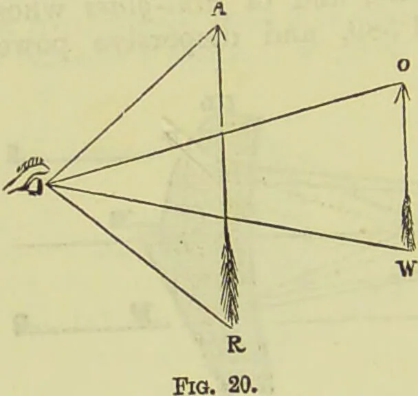An illustration from The microscope : its history, construction, and application, being a familiar introduction to the use of the instrument, and the study of microscopical science / by Jabez Hogg ; with upwards of five hundred engravings, and coloured illustrations by Tuffen West., 1890, leaf 62