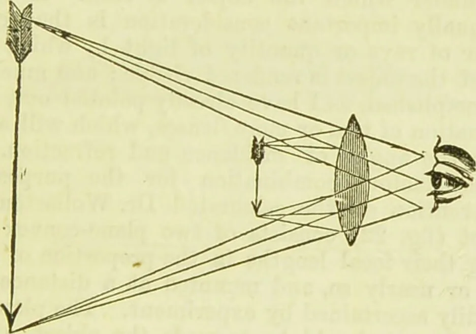 An illustration from The microscope : its history, construction, and application, being a familiar introduction to the use of the instrument, and the study of microscopical science / by Jabez Hogg ; with upwards of five hundred engravings, and coloured illustrations by Tuffen West., 1890, leaf 63