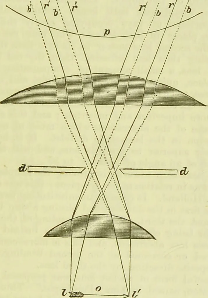 An illustration from The microscope : its history, construction, and application, being a familiar introduction to the use of the instrument, and the study of microscopical science / by Jabez Hogg ; with upwards of five hundred engravings, and coloured illustrations by Tuffen West., 1890, leaf 65