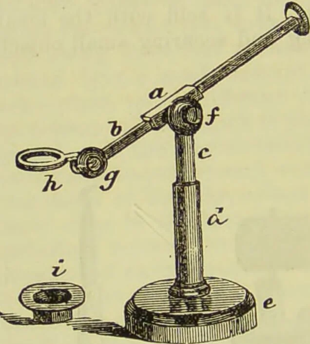 An illustration from The microscope : its history, construction, and application, being a familiar introduction to the use of the instrument, and the study of microscopical science / by Jabez Hogg ; with upwards of five hundred engravings, and coloured illustrations by Tuffen West., 1890, leaf 68