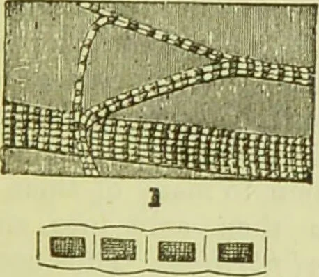 An illustration from The microscope : its history, construction, and application, being a familiar introduction to the use of the instrument, and the study of microscopical science / by Jabez Hogg ; with upwards of five hundred engravings, and coloured illustrations by Tuffen West., 1890, leaf 739