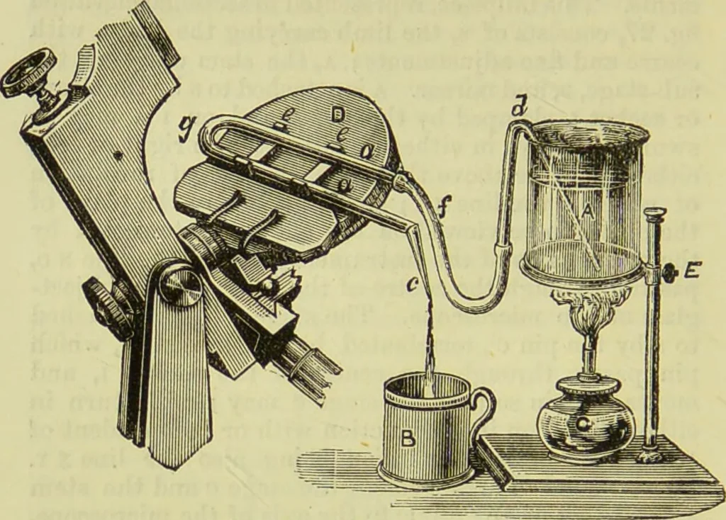 An illustration from The microscope : its history, construction, and application, being a familiar introduction to the use of the instrument, and the study of microscopical science / by Jabez Hogg ; with upwards of five hundred engravings, and coloured illustrations by Tuffen West., 1890, leaf 74