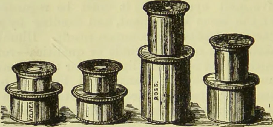 An illustration from The microscope : its history, construction, and application, being a familiar introduction to the use of the instrument, and the study of microscopical science / by Jabez Hogg ; with upwards of five hundred engravings, and coloured illustrations by Tuffen West., 1890, leaf 76