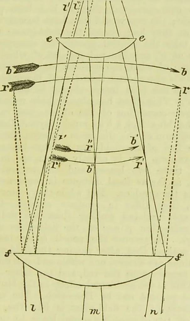 An illustration from The microscope : its history, construction, and application, being a familiar introduction to the use of the instrument, and the study of microscopical science / by Jabez Hogg ; with upwards of five hundred engravings, and coloured illustrations by Tuffen West., 1890, leaf 77