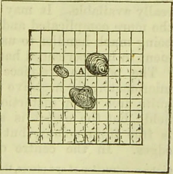 An illustration from The microscope : its history, construction, and application, being a familiar introduction to the use of the instrument, and the study of microscopical science / by Jabez Hogg ; with upwards of five hundred engravings, and coloured illustrations by Tuffen West., 1890, leaf 79