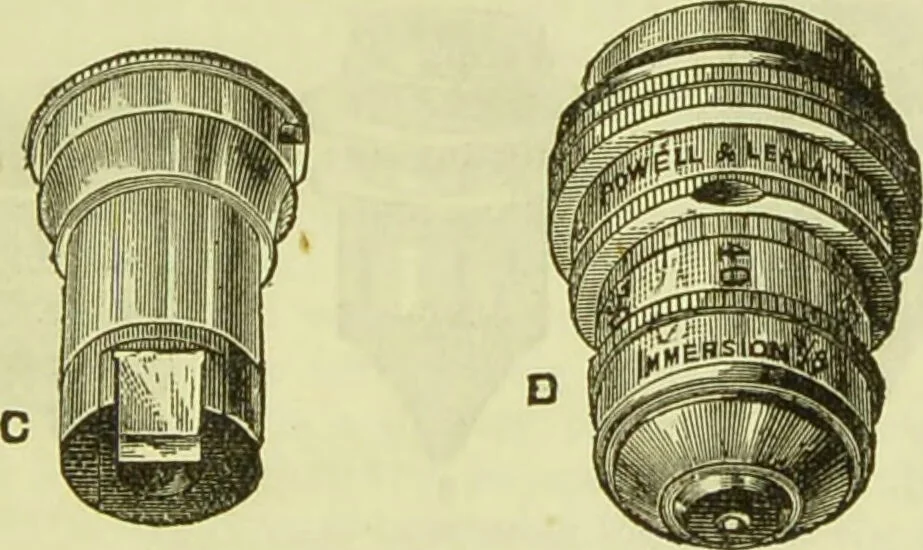 An illustration from The microscope : its history, construction, and application, being a familiar introduction to the use of the instrument, and the study of microscopical science / by Jabez Hogg ; with upwards of five hundred engravings, and coloured illustrations by Tuffen West., 1890, leaf 87