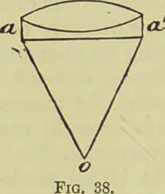An illustration from The microscope : its history, construction, and application, being a familiar introduction to the use of the instrument, and the study of microscopical science / by Jabez Hogg ; with upwards of five hundred engravings, and coloured illustrations by Tuffen West., 1890, leaf 92