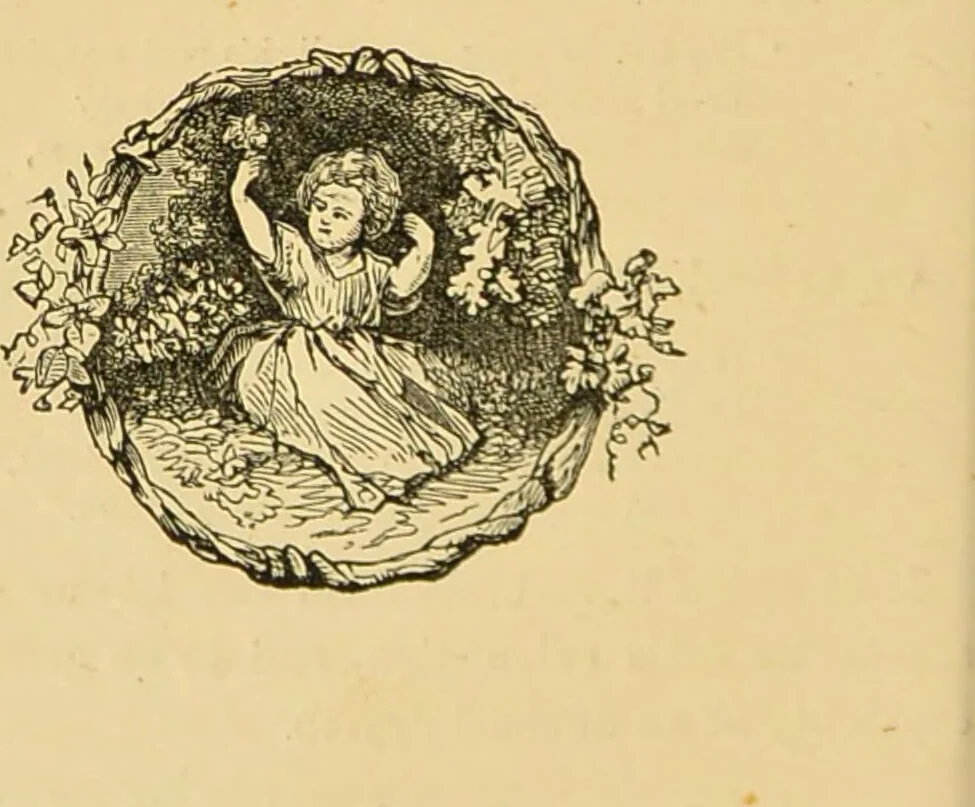 An illustration from Nature's revelations of character, or, The mental, moral and volitive dispositions of mankind, as manifested in the human form and countenance / by Joseph Simms., 1873, leaf 110