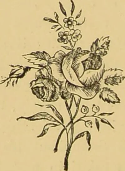 An illustration from Nature's revelations of character, or, The mental, moral and volitive dispositions of mankind, as manifested in the human form and countenance / by Joseph Simms., 1873, leaf 130