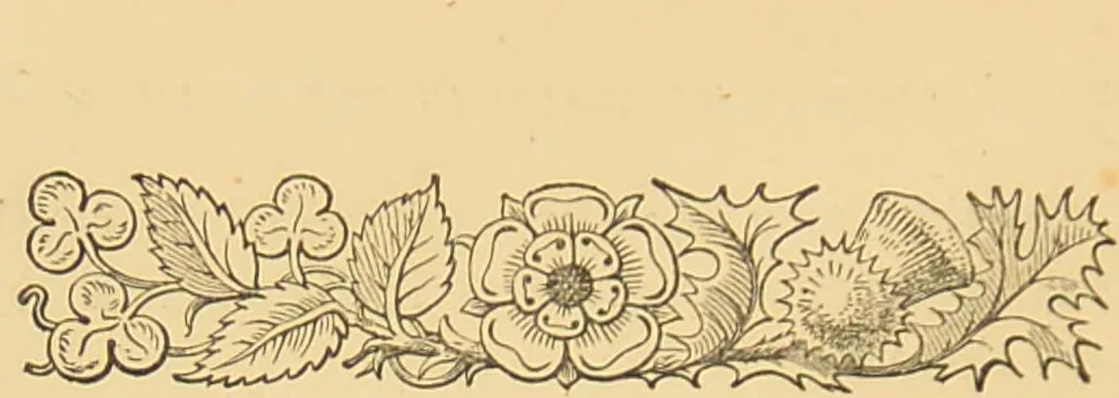 An illustration from Nature's revelations of character, or, The mental, moral and volitive dispositions of mankind, as manifested in the human form and countenance / by Joseph Simms., 1873, leaf 138
