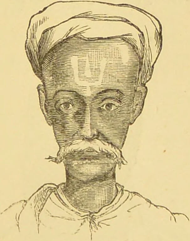 An illustration from Nature's revelations of character, or, The mental, moral and volitive dispositions of mankind, as manifested in the human form and countenance / by Joseph Simms., 1873, leaf 157