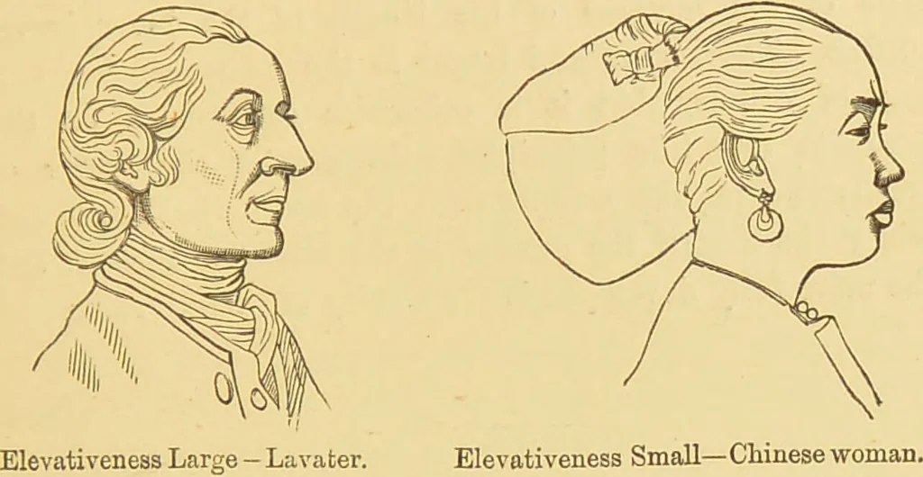 An illustration from Nature's revelations of character, or, The mental, moral and volitive dispositions of mankind, as manifested in the human form and countenance / by Joseph Simms., 1873, leaf 165