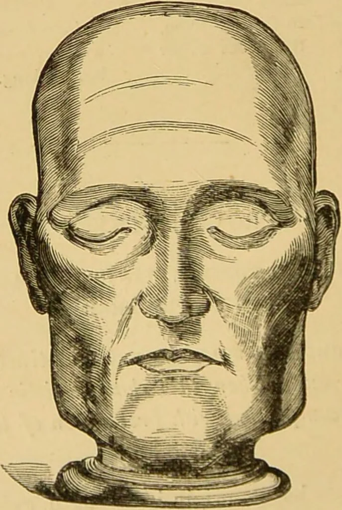 An illustration from Nature's revelations of character, or, The mental, moral and volitive dispositions of mankind, as manifested in the human form and countenance / by Joseph Simms., 1873, leaf 190