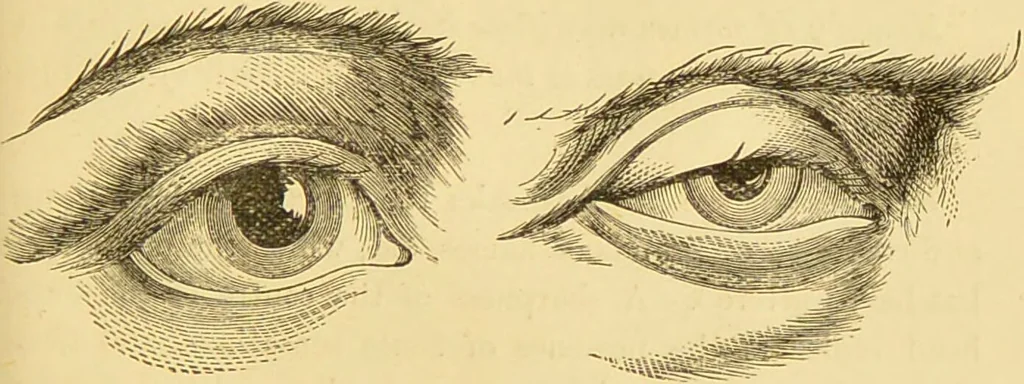 An illustration from Nature's revelations of character, or, The mental, moral and volitive dispositions of mankind, as manifested in the human form and countenance / by Joseph Simms., 1873, leaf 191