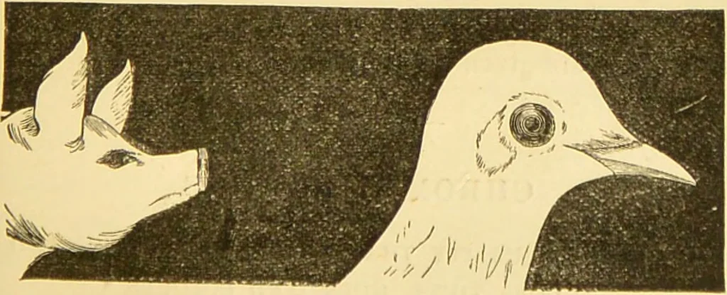An illustration from Nature's revelations of character, or, The mental, moral and volitive dispositions of mankind, as manifested in the human form and countenance / by Joseph Simms., 1873, leaf 191