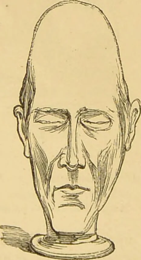 An illustration from Nature's revelations of character, or, The mental, moral and volitive dispositions of mankind, as manifested in the human form and countenance / by Joseph Simms., 1873, leaf 194