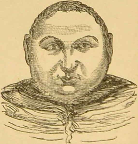 An illustration from Nature's revelations of character, or, The mental, moral and volitive dispositions of mankind, as manifested in the human form and countenance / by Joseph Simms., 1873, leaf 194