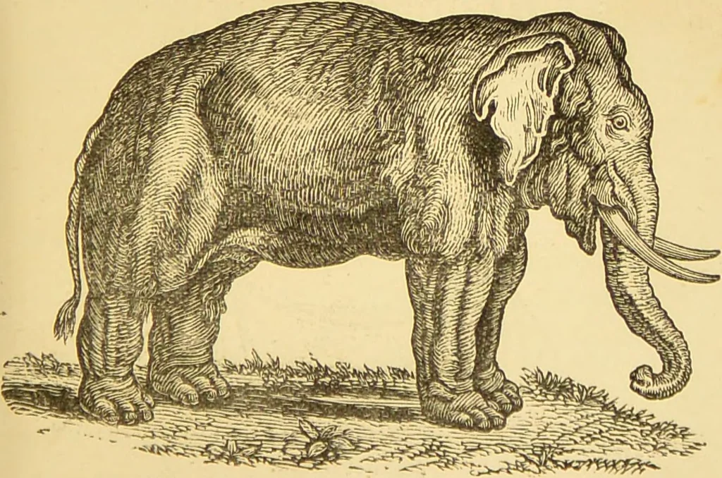 An illustration from Nature's revelations of character, or, The mental, moral and volitive dispositions of mankind, as manifested in the human form and countenance / by Joseph Simms., 1873, leaf 209