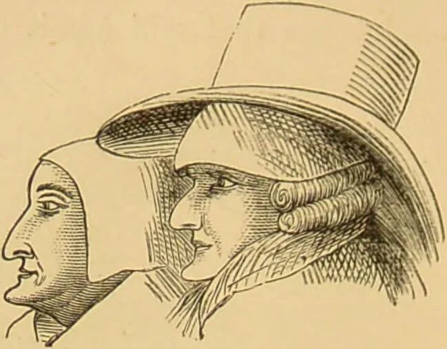 An illustration from Nature's revelations of character, or, The mental, moral and volitive dispositions of mankind, as manifested in the human form and countenance / by Joseph Simms., 1873, leaf 212