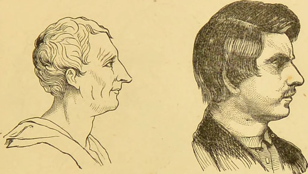 An illustration from Nature's revelations of character, or, The mental, moral and volitive dispositions of mankind, as manifested in the human form and countenance / by Joseph Simms., 1873, leaf 219