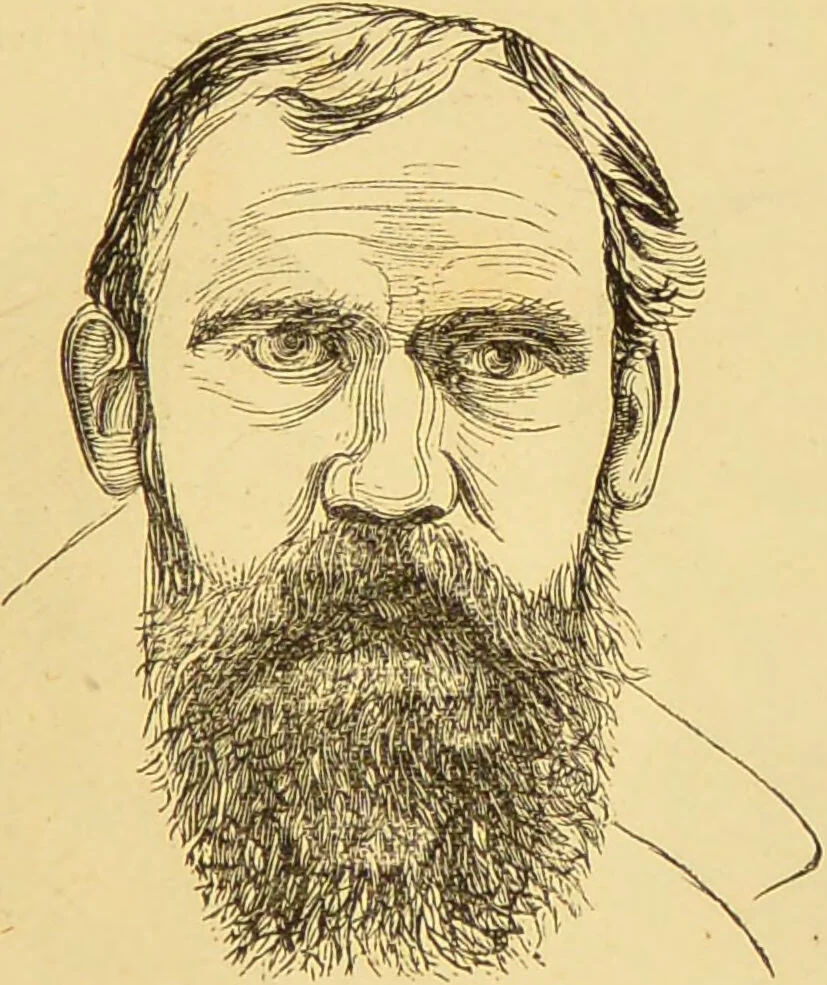 An illustration from Nature's revelations of character, or, The mental, moral and volitive dispositions of mankind, as manifested in the human form and countenance / by Joseph Simms., 1873, leaf 231
