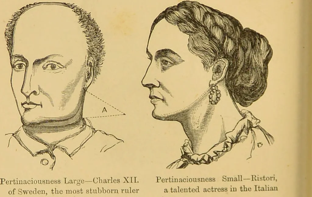 An illustration from Nature's revelations of character, or, The mental, moral and volitive dispositions of mankind, as manifested in the human form and countenance / by Joseph Simms., 1873, leaf 232