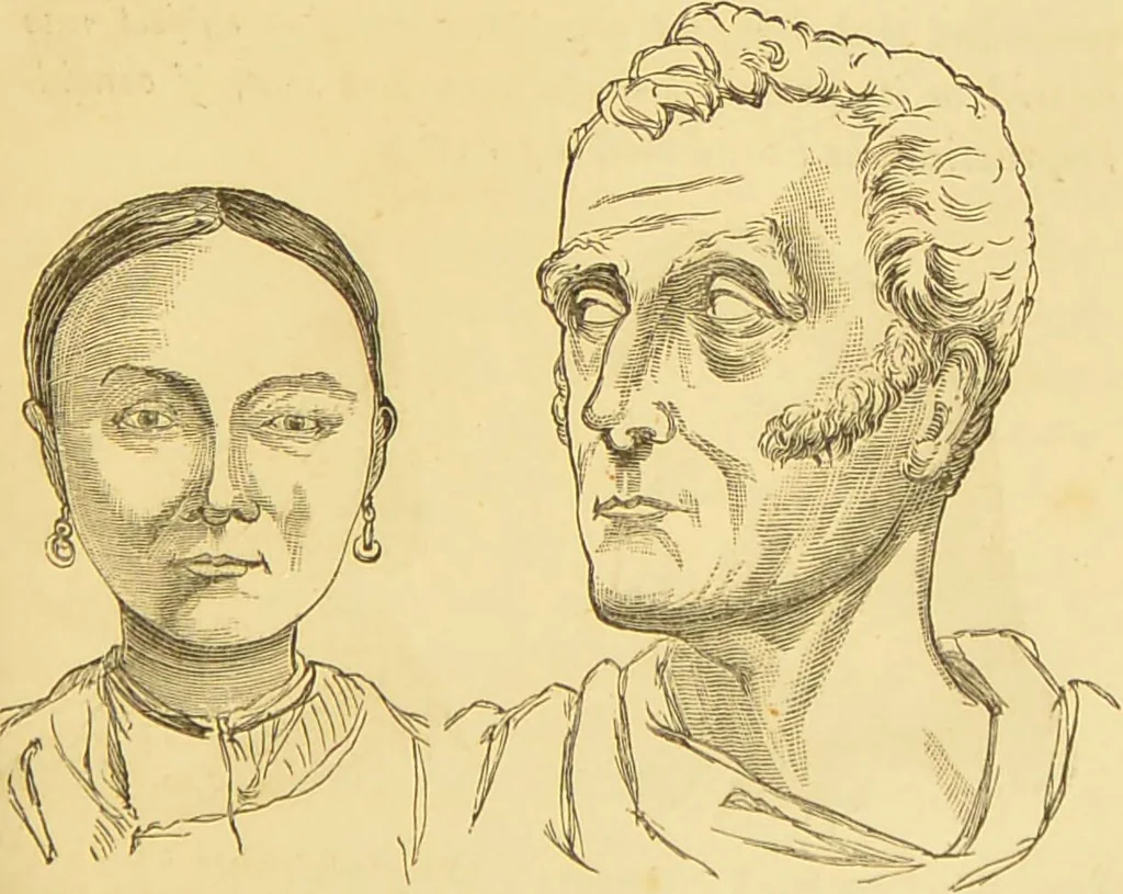 An illustration from Nature's revelations of character, or, The mental, moral and volitive dispositions of mankind, as manifested in the human form and countenance / by Joseph Simms., 1873, leaf 233