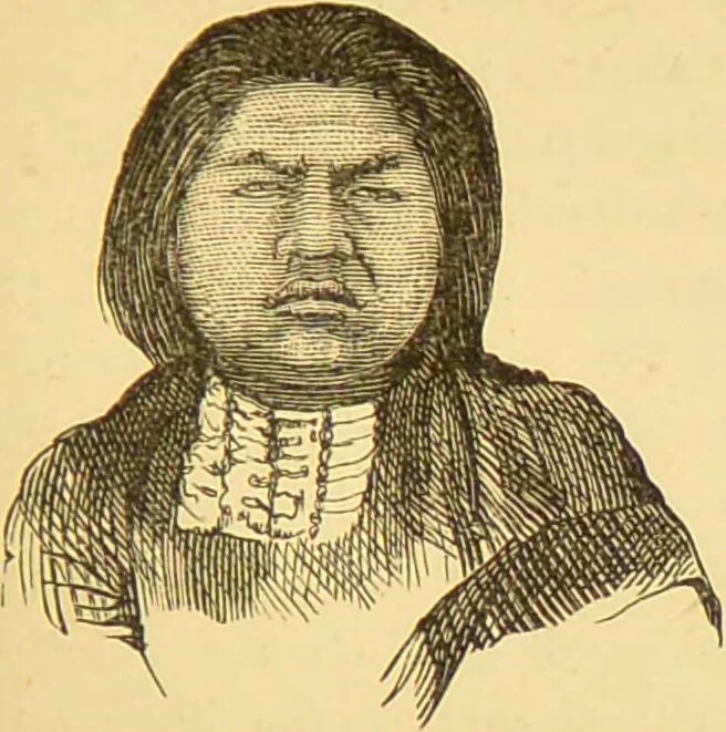 An illustration from Nature's revelations of character, or, The mental, moral and volitive dispositions of mankind, as manifested in the human form and countenance / by Joseph Simms., 1873, leaf 243