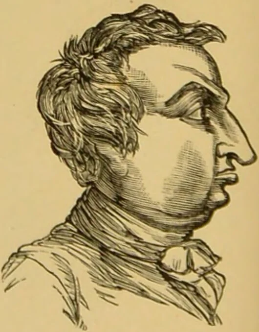 An illustration from Nature's revelations of character, or, The mental, moral and volitive dispositions of mankind, as manifested in the human form and countenance / by Joseph Simms., 1873, leaf 252