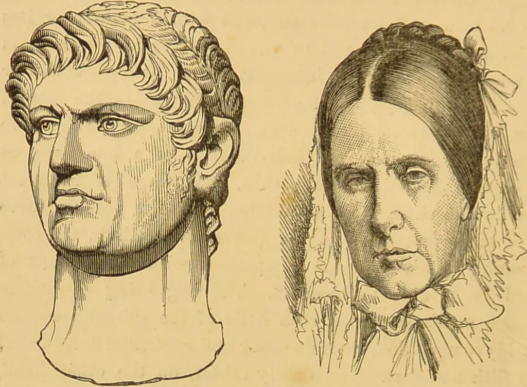 An illustration from Nature's revelations of character, or, The mental, moral and volitive dispositions of mankind, as manifested in the human form and countenance / by Joseph Simms., 1873, leaf 254