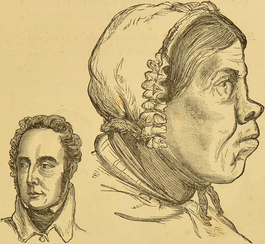 An illustration from Nature's revelations of character, or, The mental, moral and volitive dispositions of mankind, as manifested in the human form and countenance / by Joseph Simms., 1873, leaf 255