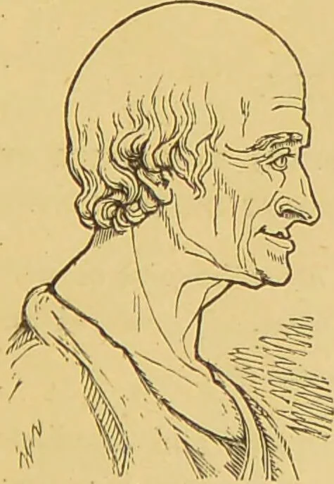 An illustration from Nature's revelations of character, or, The mental, moral and volitive dispositions of mankind, as manifested in the human form and countenance / by Joseph Simms., 1873, leaf 263