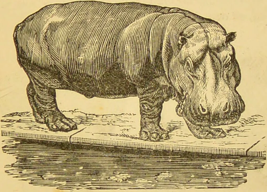 An illustration from Nature's revelations of character, or, The mental, moral and volitive dispositions of mankind, as manifested in the human form and countenance / by Joseph Simms., 1873, leaf 269