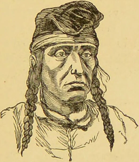 An illustration from Nature's revelations of character, or, The mental, moral and volitive dispositions of mankind, as manifested in the human form and countenance / by Joseph Simms., 1873, leaf 271