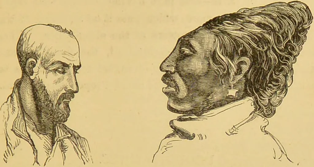 An illustration from Nature's revelations of character, or, The mental, moral and volitive dispositions of mankind, as manifested in the human form and countenance / by Joseph Simms., 1873, leaf 273