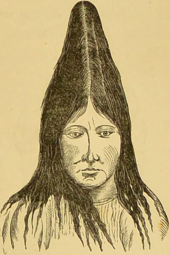 An illustration from Nature's revelations of character, or, The mental, moral and volitive dispositions of mankind, as manifested in the human form and countenance / by Joseph Simms., 1873, leaf 273