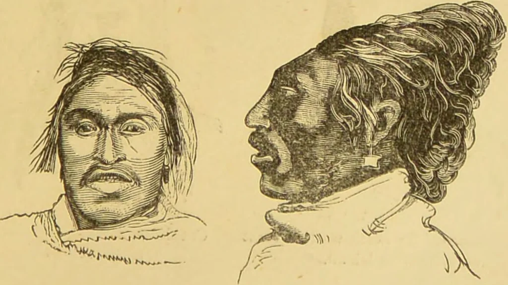 An illustration from Nature's revelations of character, or, The mental, moral and volitive dispositions of mankind, as manifested in the human form and countenance / by Joseph Simms., 1873, leaf 277