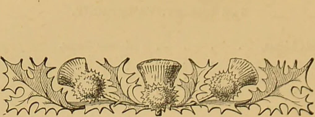 An illustration from Nature's revelations of character, or, The mental, moral and volitive dispositions of mankind, as manifested in the human form and countenance / by Joseph Simms., 1873, leaf 304