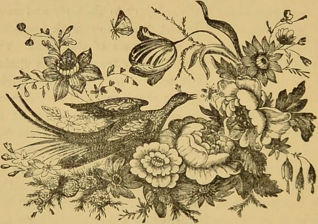 An illustration from Nature's revelations of character, or, The mental, moral and volitive dispositions of mankind, as manifested in the human form and countenance / by Joseph Simms., 1873, leaf 322