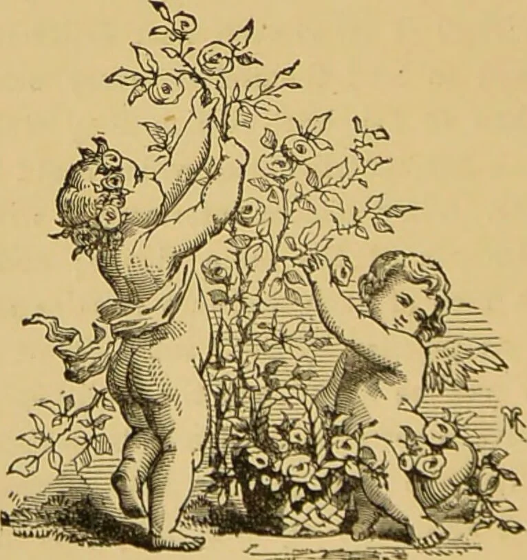 An illustration from Nature's revelations of character, or, The mental, moral and volitive dispositions of mankind, as manifested in the human form and countenance / by Joseph Simms., 1873, leaf 366