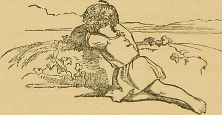 An illustration from Nature's revelations of character, or, The mental, moral and volitive dispositions of mankind, as manifested in the human form and countenance / by Joseph Simms., 1873, leaf 372